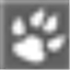 border-collies.eu