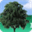 rc-weidenbach.de