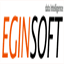 eginsoft.com