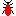 lilybeetletracker.weebly.com