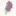 dwmargo.pl