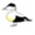 maxeider.com