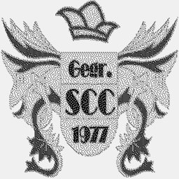 scc-sitzendorf.com