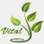 atcvital.com