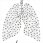 lungsproject.org