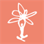 coconoha-yoga.com