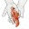 orapazeopeixe.wordpress.com