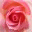 inasandbox.wordpress.com