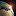 macrowatcher.com