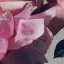 chvrchesshop.com