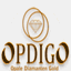 opdigo.de