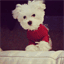 cutepuppystuff.com