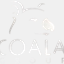 coastalcleaningsystems.com