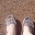 thedesertdreamer.wordpress.com