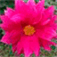 stewarthay.over-blog.com