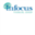 infocusfg.com
