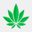 kushmart99.com