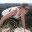 dri3.wordpress.com