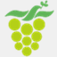 rootsofpeace.org