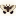 featherart.org