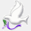 pabloji.org