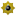 dignityorder.com