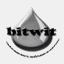 bitwit.ru