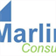 psm.marlinconsulting.de