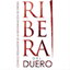 riberadelduero.es