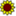 letimon.net