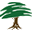 mohantimber.in