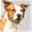 wonderworker.org