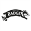 winwithbadger.com