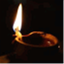 theoyl.com