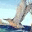 migration.wordpress.com