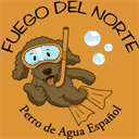 fuego-del-norte.de