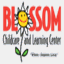 blossomchildcare.com