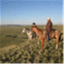 realranchers.com