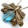 donnageddes.wordpress.com