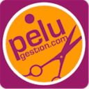 gestionpeluquerias.com