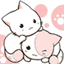 catshare.org