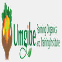 umgibe.org