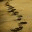 devotionalstsf.org