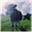 magic-instants.com