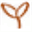 fibreshed.net