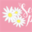 scrapparati.com