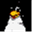 wpkg.linuxkidd.com