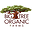 bigtreeorganic.com