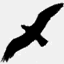 calcoast.org