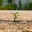 cleantechsolutions.wordpress.com